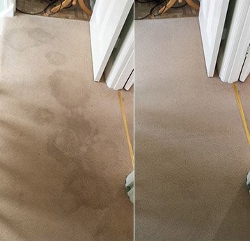 Före och efter — heltäckningsmatta